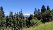 Praz de Lys (N de Cluses)
