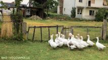 2012-09-14-11-09-04 MKD J