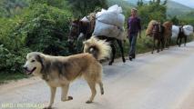 2012-09-17-10-07-45 MKD J