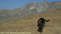 2012-09-24-09-02-08 MKD Z