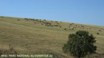 2012-09-24-09-48-07 MKD Z