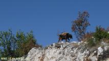2012-09-24-13-57-54 MKD M