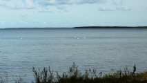 LAUGU SAAREMAA ESTONIE