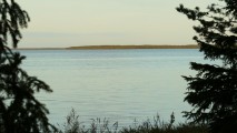 LEISI SAAREMAA ESTONIE