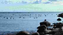 YSTAD SKILLINGE SUÊDE