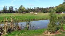 093 FBL 20090929 04