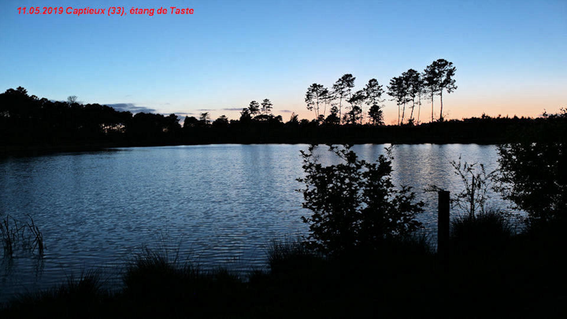 CAPTIEUX (LAC DE TASTE)