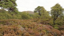 30.08.2016 LOCH MULLARDOCH/SCO