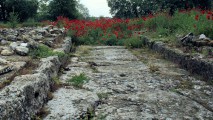 GRÈCE Dion**