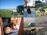 09.01.2009 AUTRES BIVOUACS