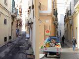 12.01.2009 GALLIPOLI