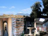 29.01.2009 POMPEI