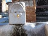 29.01.2009 POMPEI