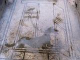 29.01.2009 POMPEI