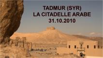 TADMUR (Citadelle)