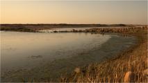 LAC BURQU