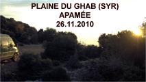 APAMÉE SYR
