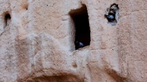 106