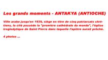 TR ANT 01